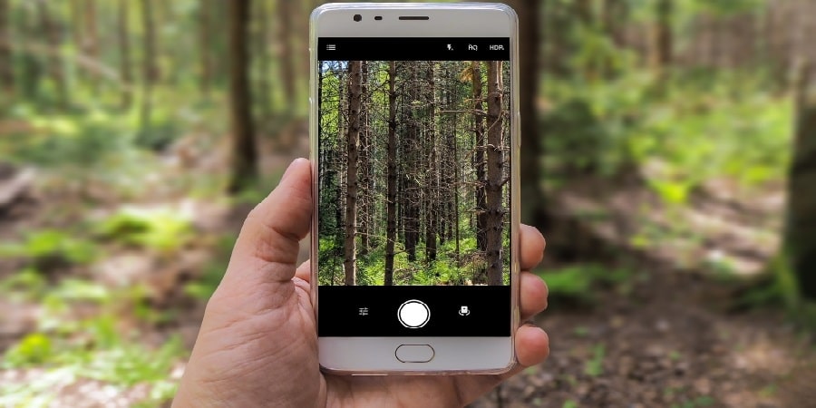 Smartphone wird in  der Hand gehalten, Kameramodus ist an, Kameradisplay zeigt einen Wald - Symbolbild für "Studenten-Apps"